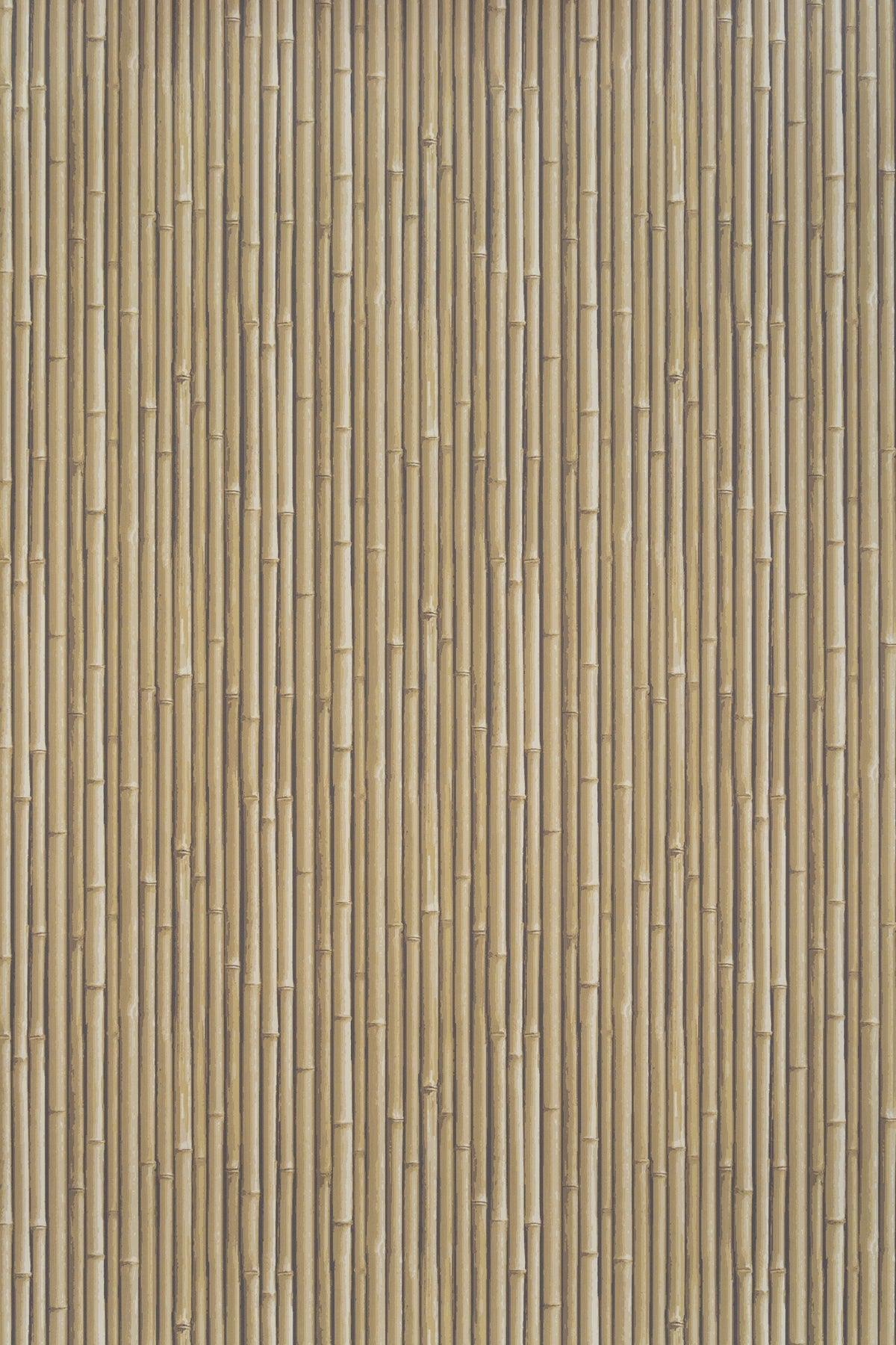 Palm Beach Wallpaper by Jean Monro in Moonlight Beige