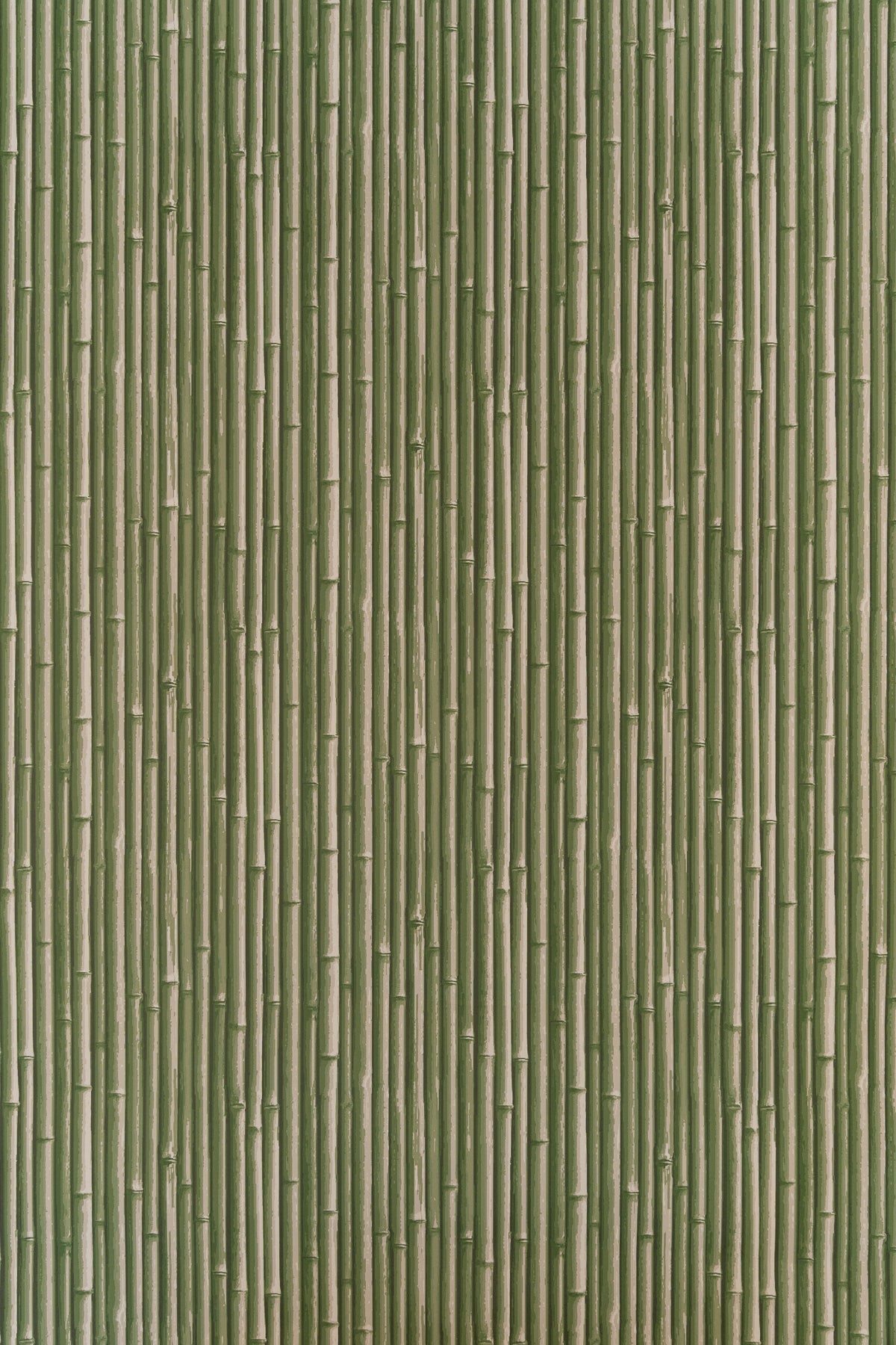 Palm Beach Wallpaper by Jean Monro in New Mown Green