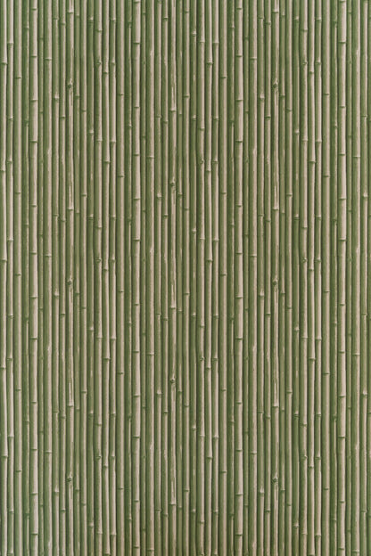 Palm Beach Wallpaper by Jean Monro in New Mown Green