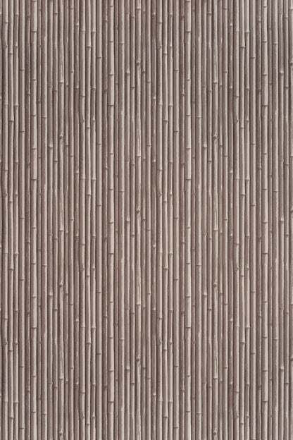 Palm Beach Wallpaper by Jean Monro in Thatched Roof Taupe