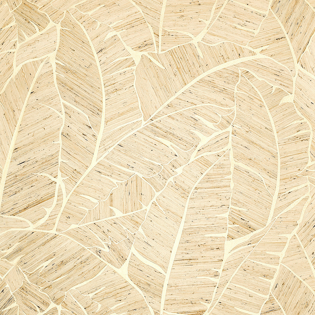 Palm Paradise Wallpaper by Phillip Jeffries in Golden Jungle (PJ 10563)