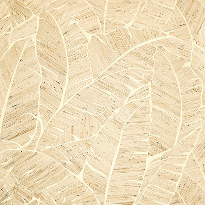 Palm Paradise Wallpaper by Phillip Jeffries in Golden Jungle (PJ 10563)