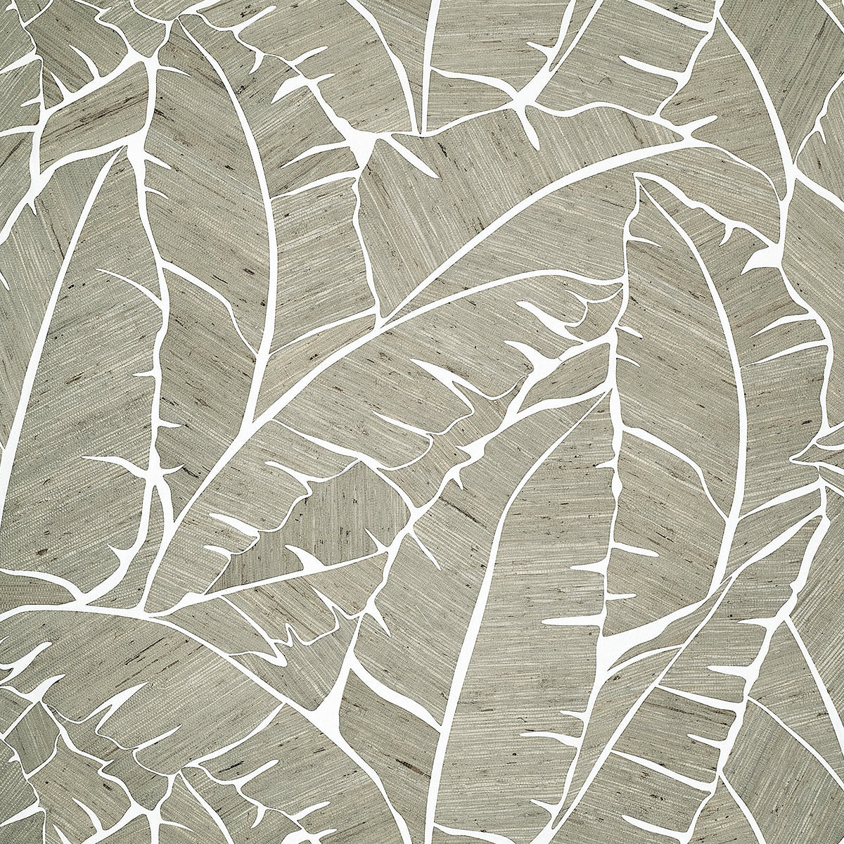 Palm Paradise Wallpaper by Phillip Jeffries in Mystic Utopia (PJ 10565)