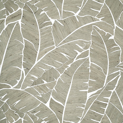 Palm Paradise Wallpaper by Phillip Jeffries in Mystic Utopia (PJ 10565)