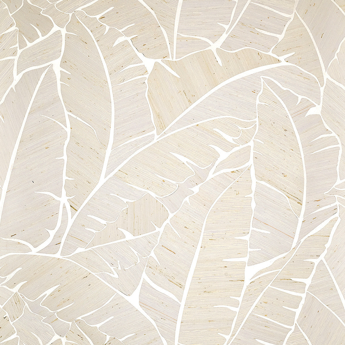 Palm Paradise Wallpaper by Phillip Jeffries in Opal Retreat (PJ 10561)