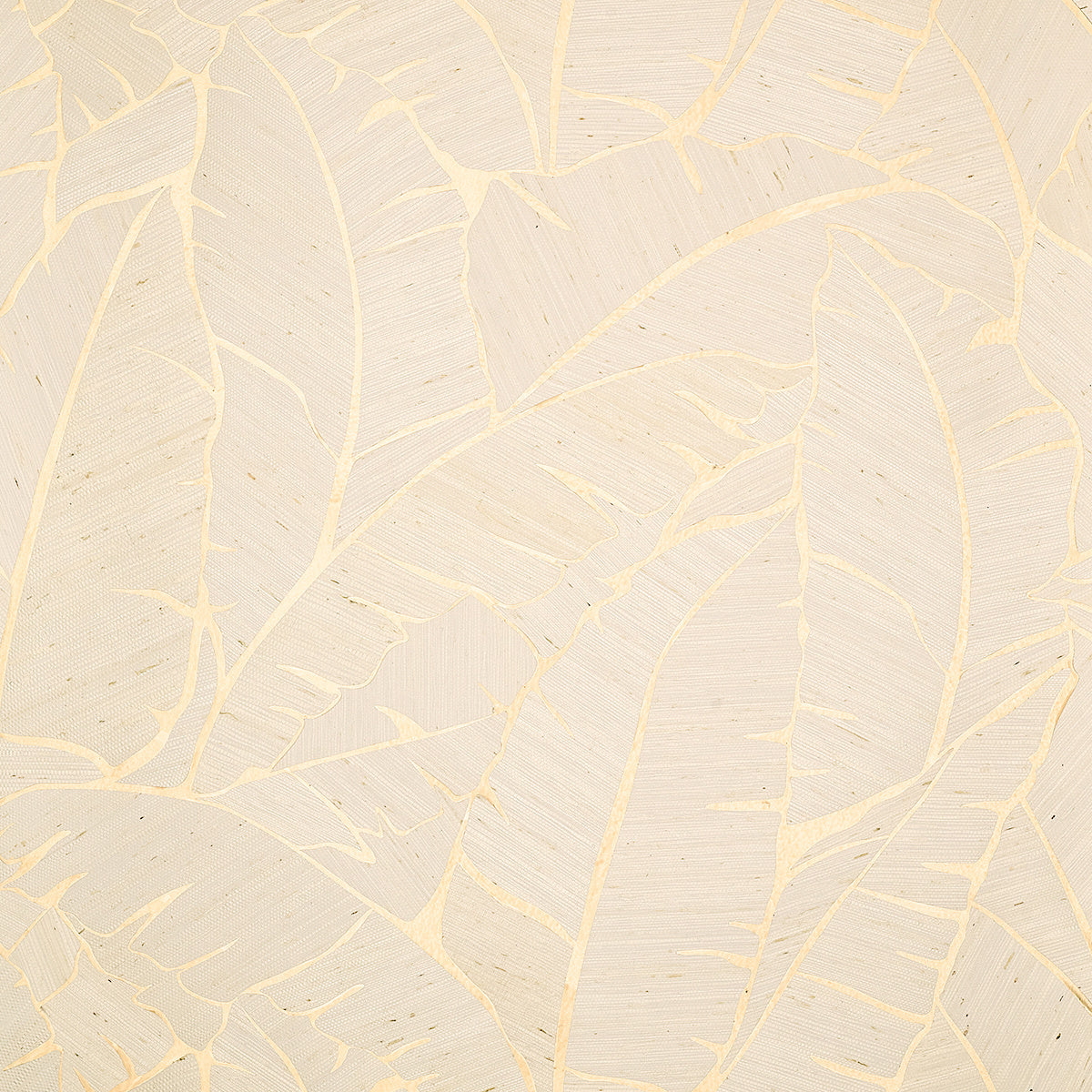Palm Paradise Wallpaper by Phillip Jeffries in Serenity Sands (PJ 10562)