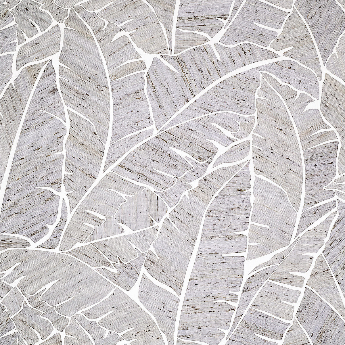 Palm Paradise Wallpaper by Phillip Jeffries in Silvershade (PJ 10564)