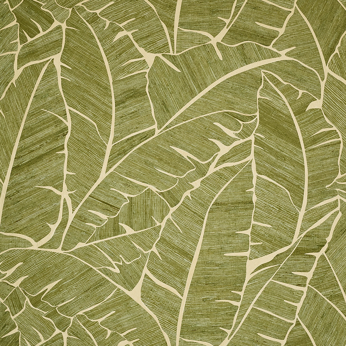 Palm Paradise Wallpaper by Phillip Jeffries in Verde Vista (PJ 10560)
