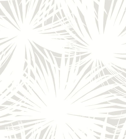 Palm Silhouette Wallpaper by Ohpopsi Cloud