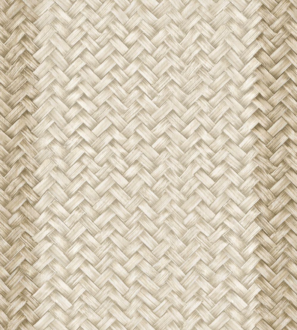 Palmeral Wallpaper by Coordonne Beige