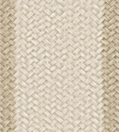 Palmeral Wallpaper by Coordonne Beige