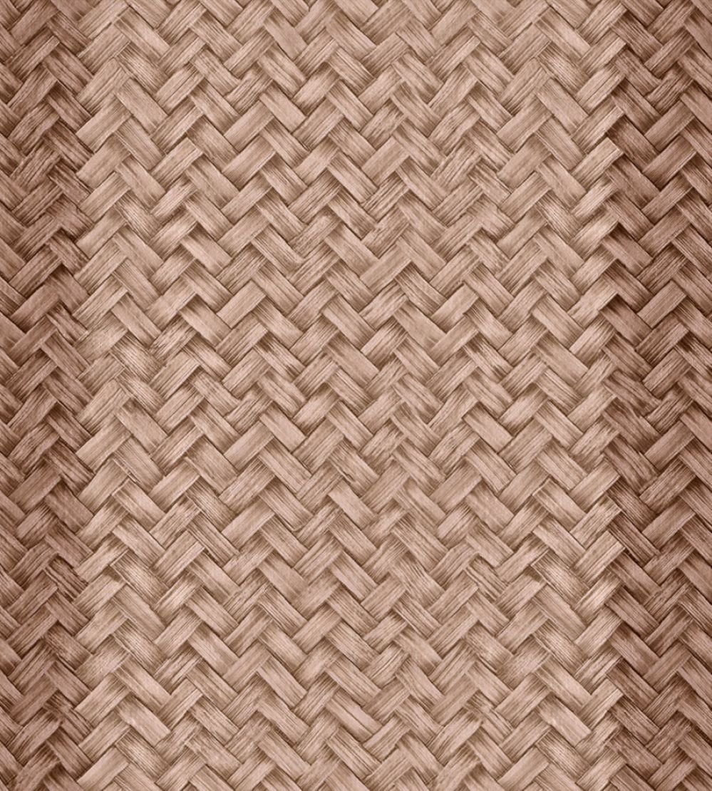 Palmeral Wallpaper by Coordonne Blush