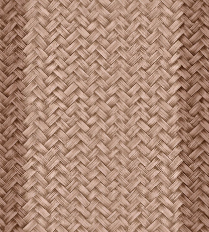 Palmeral Wallpaper by Coordonne Blush