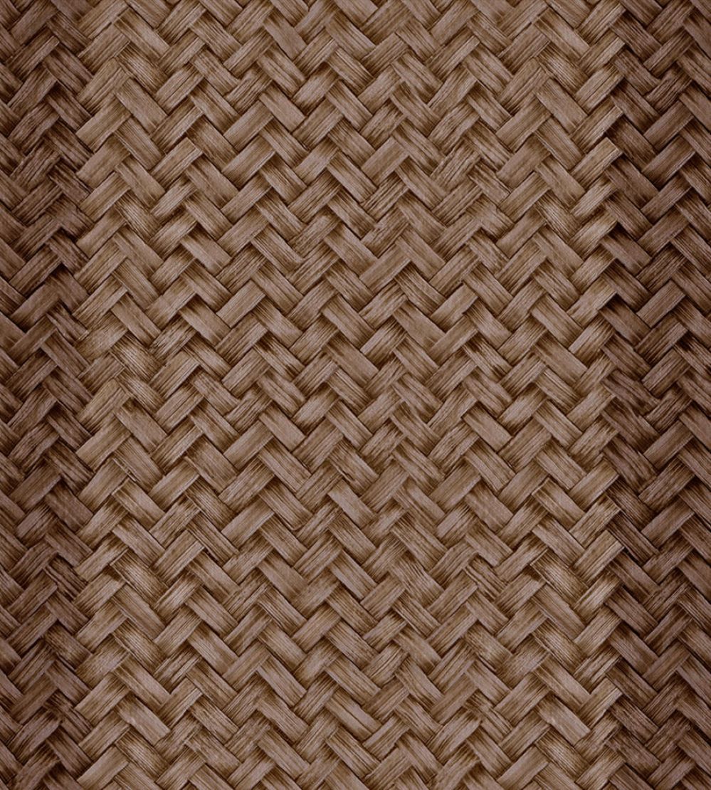 Palmeral Wallpaper by Coordonne Brown