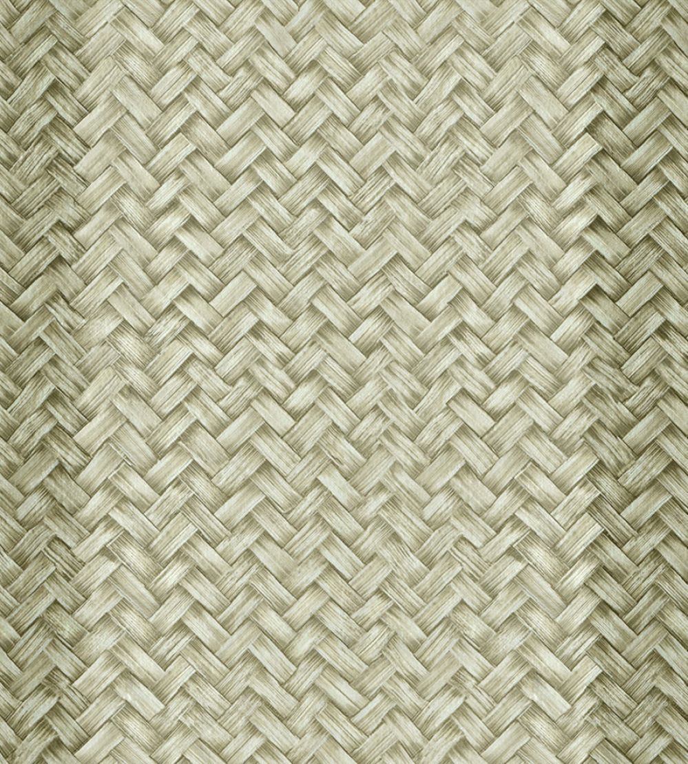 Palmeral Wallpaper by Coordonne Green