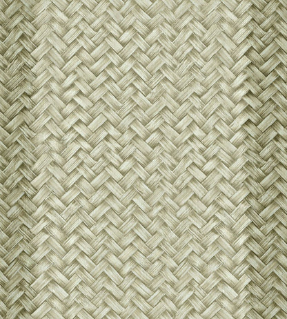 Palmeral Wallpaper by Coordonne Green