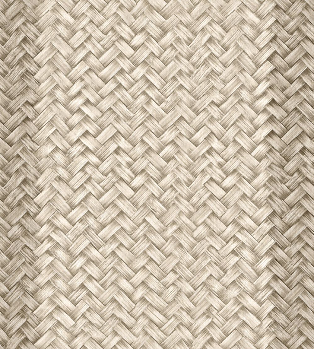 Palmeral Wallpaper by Coordonne Nude