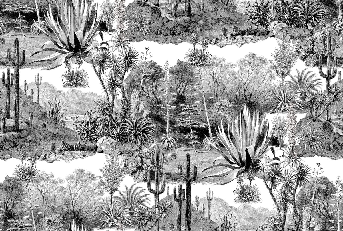 Pampa Fabric by Pierre Frey in Noir (F3086001)