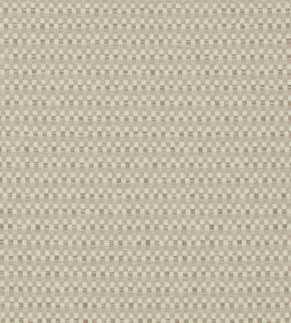 Pano Fabric by Clarke & Clarke Pebble