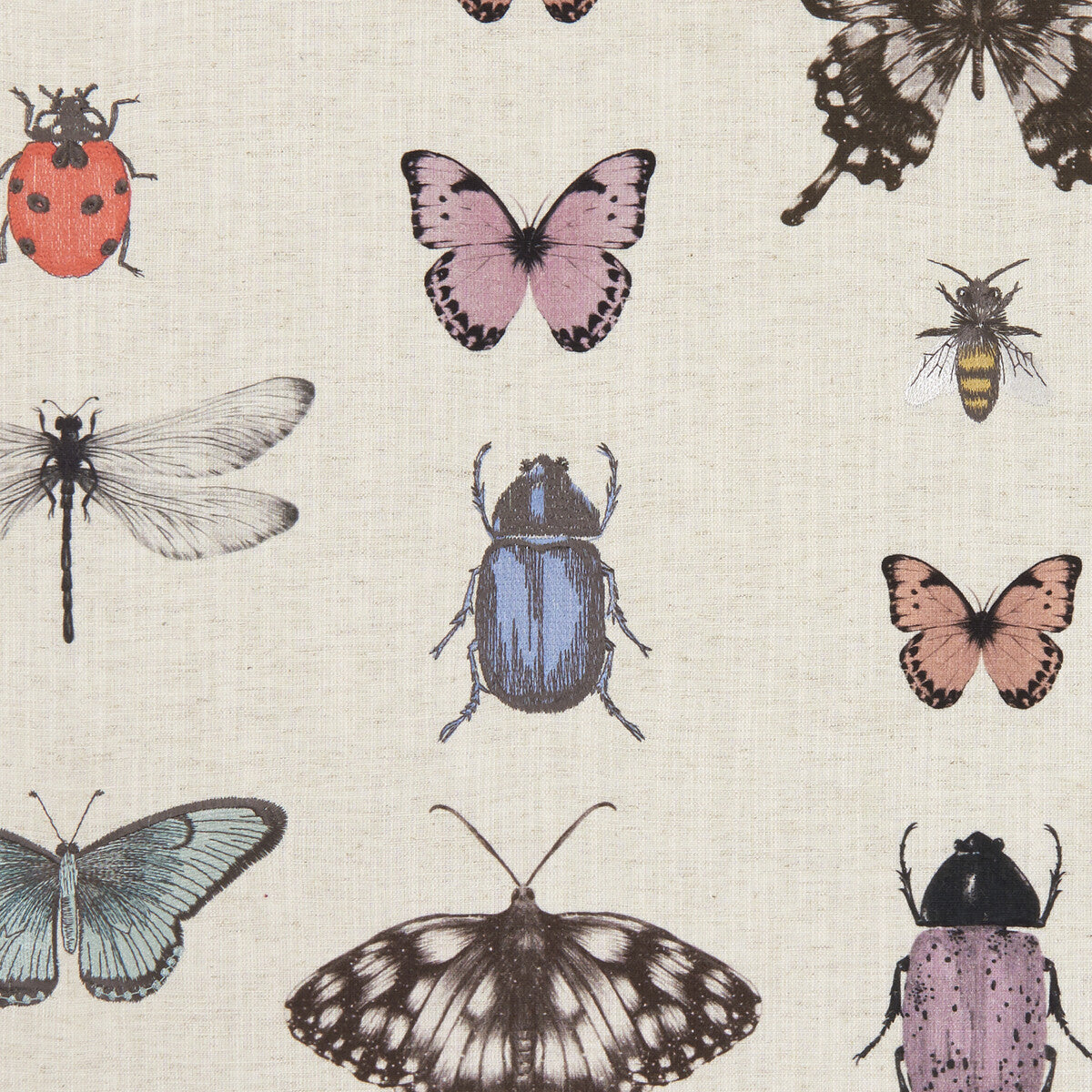 Papilio Blush/Natural fabric by Clarke & Clarke