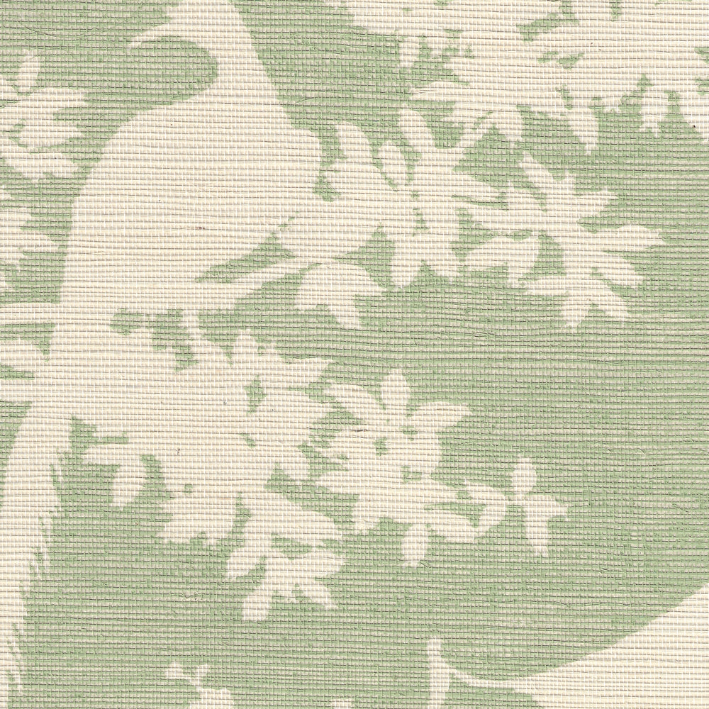 Paradise Background Celadon on Beige Grasscloth wallpaper by Quadrille