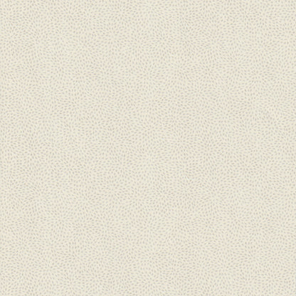 Particles Wallpaper by Nile & York in Zinc