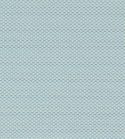Pavo Fabric by Clarke & Clarke Duckegg