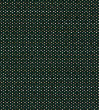 Pavo Fabric by Clarke & Clarke Forest