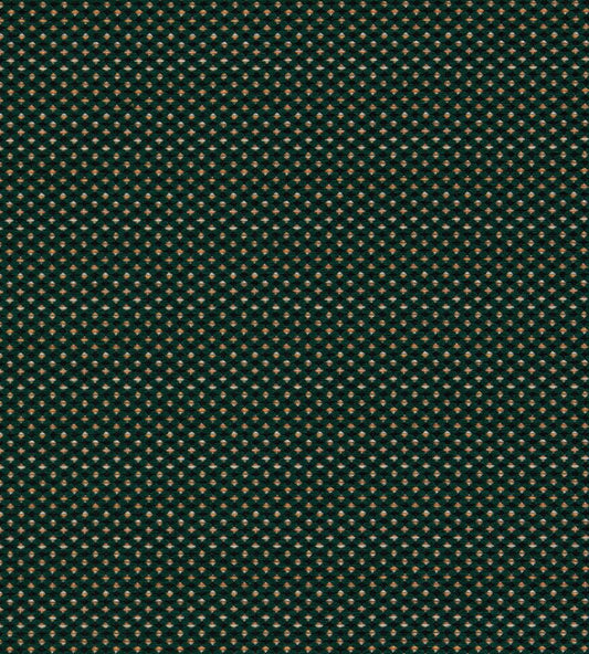 Pavo Fabric by Clarke & Clarke Forest