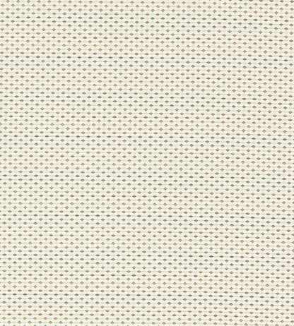 Pavo Fabric by Clarke & Clarke Ivory/Denim