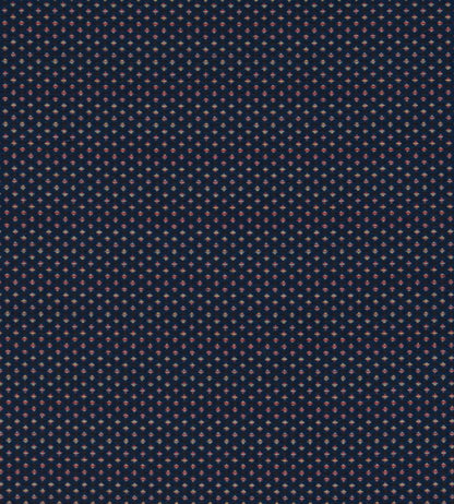 Pavo Fabric by Clarke & Clarke Midnight