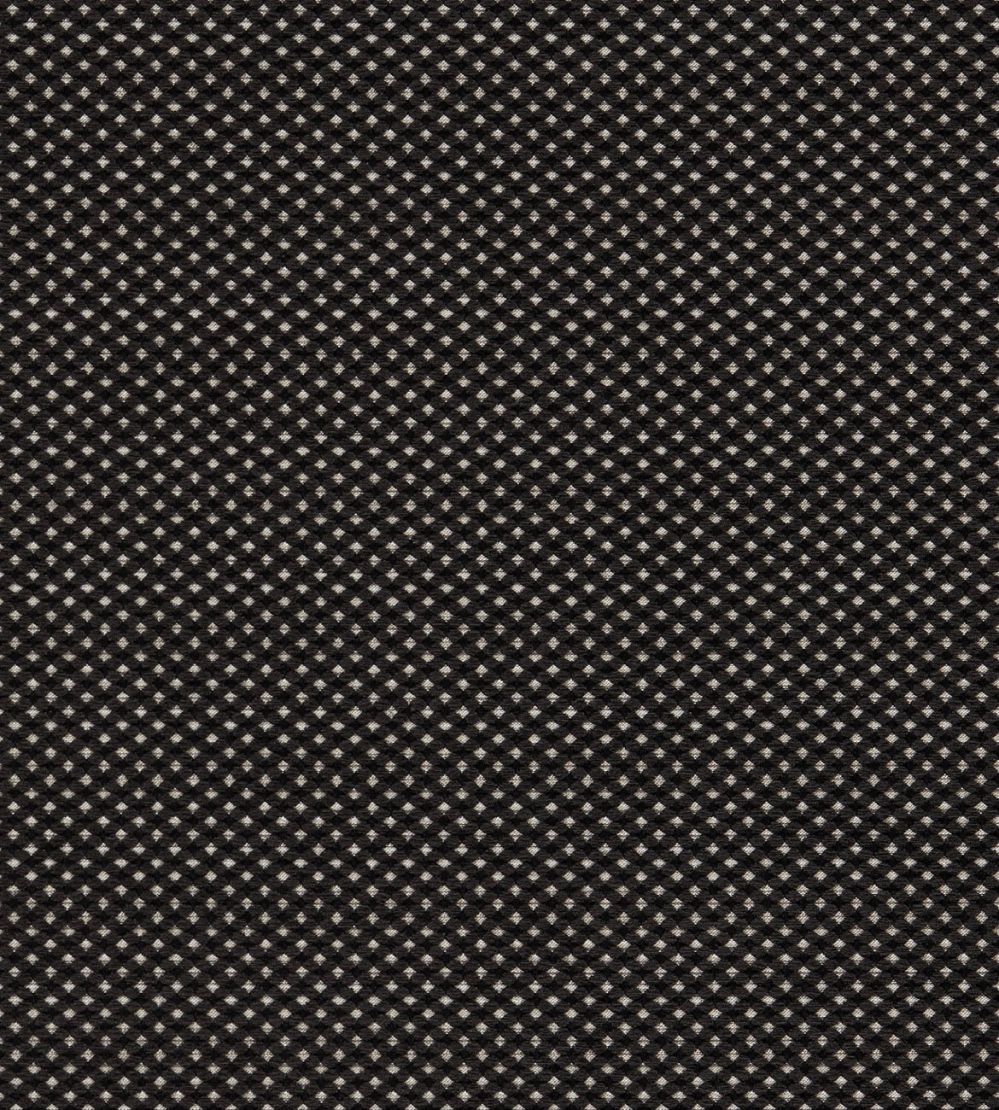 Pavo Fabric by Clarke & Clarke Noir