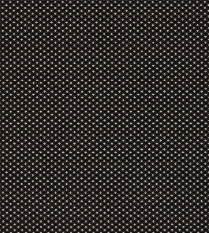 Pavo Fabric by Clarke & Clarke Noir
