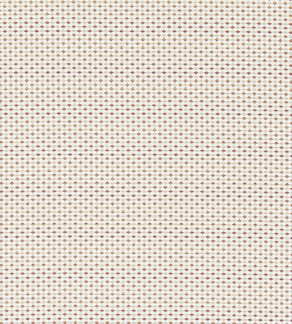 Pavo Fabric by Clarke & Clarke Raspberry