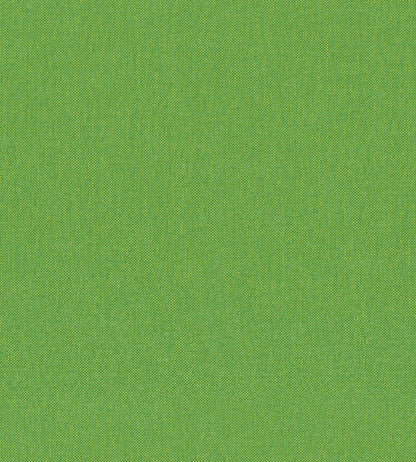 Petits Points Wallpaper by Jannelli&Volpi Green