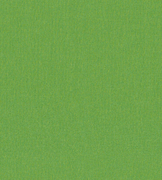 Petits Points Wallpaper by Jannelli&Volpi Green