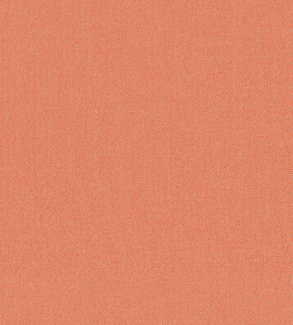 Petits Points Wallpaper by Jannelli&Volpi Peach
