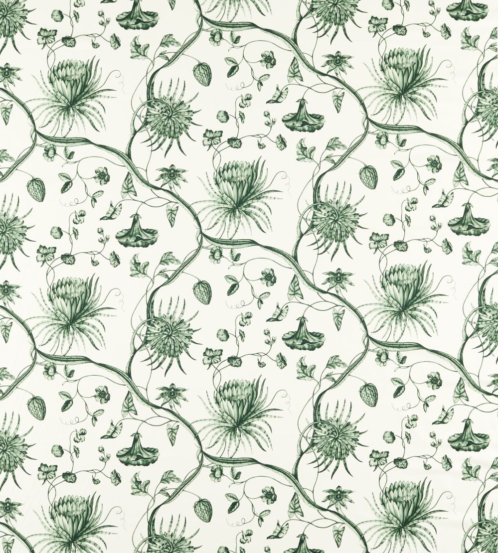 Phaedra Toile Fabric by Zoffany Huntsmans Green