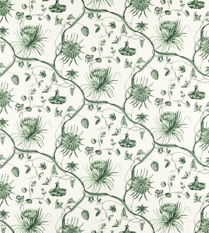 Phaedra Toile Fabric by Zoffany Huntsmans Green