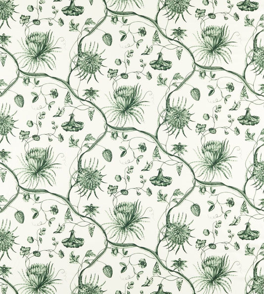 Phaedra Toile Fabric by Zoffany Huntsmans Green