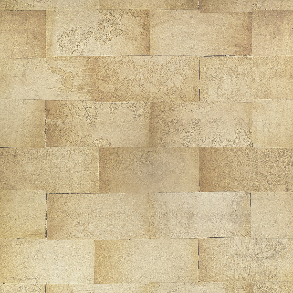Picasso Wallpaper by Phillip Jeffries – The ReBorn House