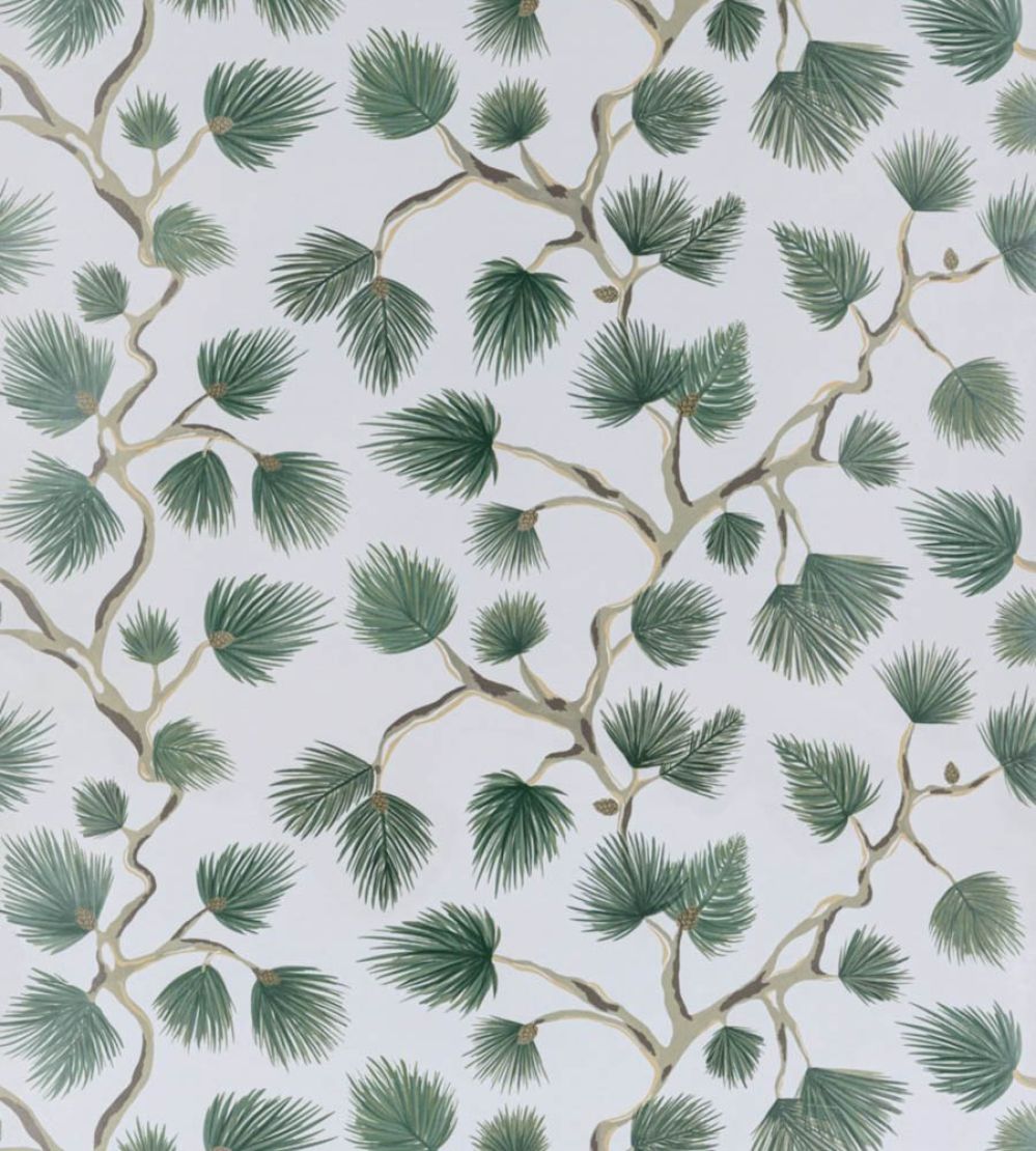 Pignoli Wallpaper by Scalamandre Evergreen