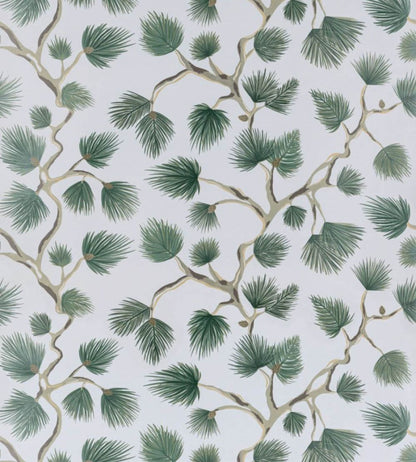 Pignoli Wallpaper by Scalamandre Evergreen