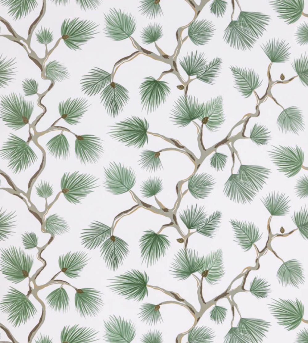 Pignoli Wallpaper by Scalamandre Fern