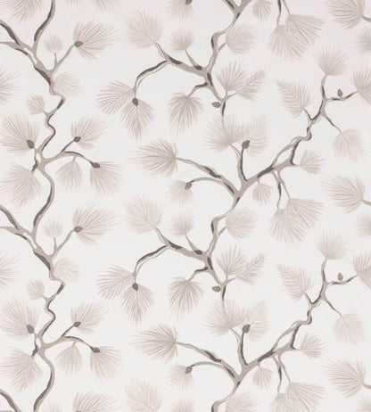 Pignoli Wallpaper by Scalamandre Snow