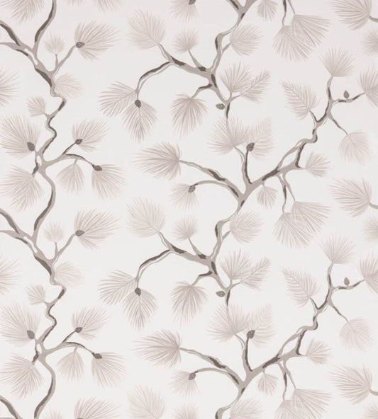 Pignoli Wallpaper by Scalamandre Snow