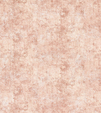 Pittura Fabric by Clarke & Clarke Blush