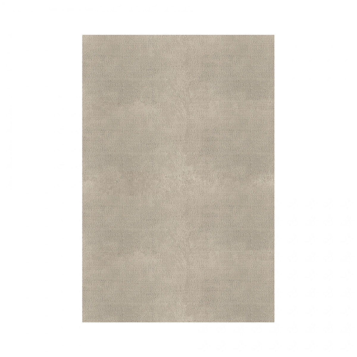 Plain Area Rug by Graccioza in Fog, Rectangular