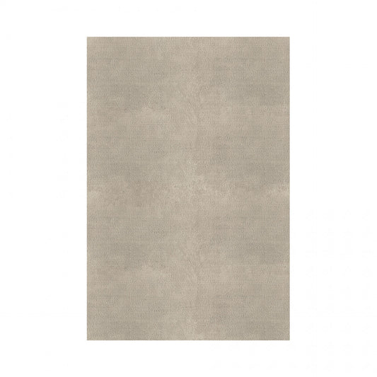 Plain Area Rug by Graccioza in Fog, Rectangular