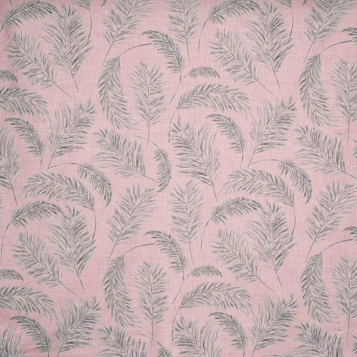Plumero fabric by Coordonné in Cava, flat pattern view